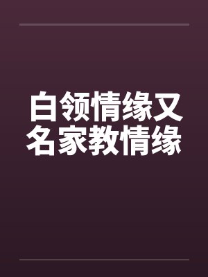 白领情缘又名家教情缘